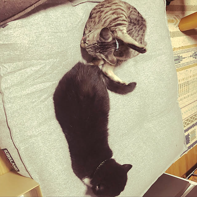 imhackさんの実例写真