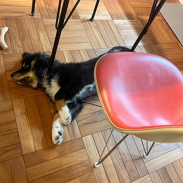 makiさんの実例写真