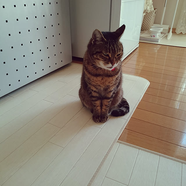 lilyさんの実例写真