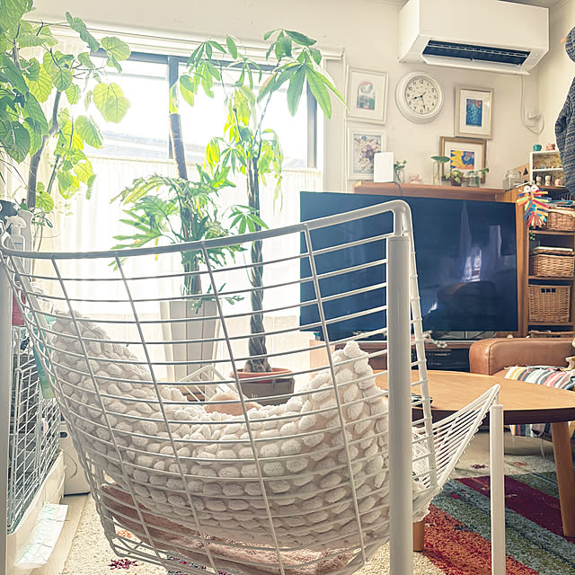 hirariさんの実例写真