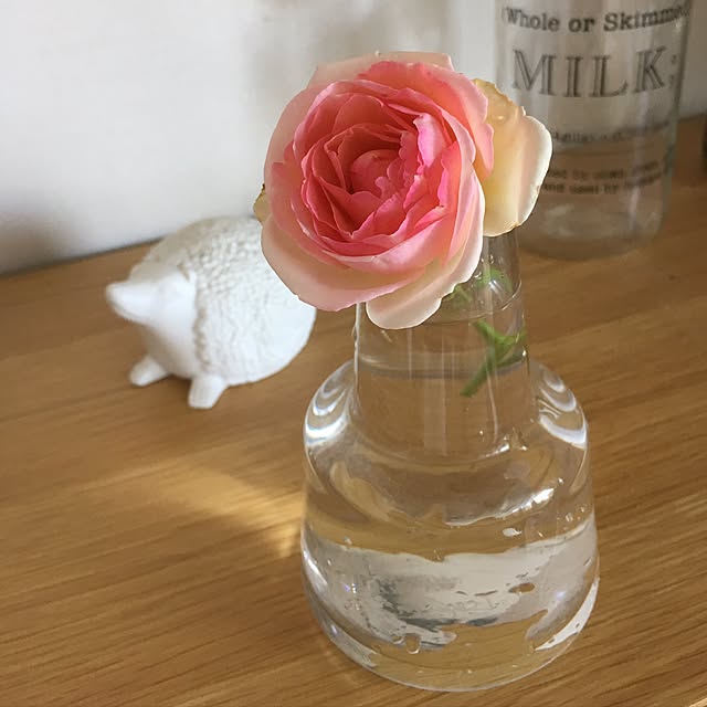 canacoさんの実例写真