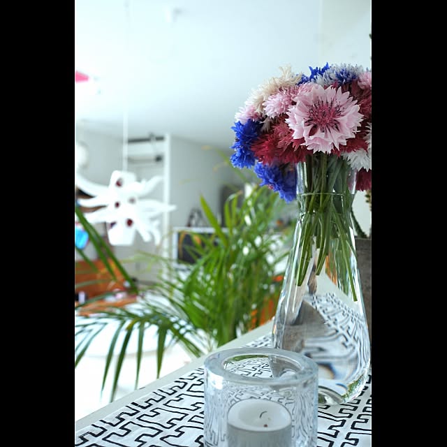 Design papa Ka-tuさんの実例写真