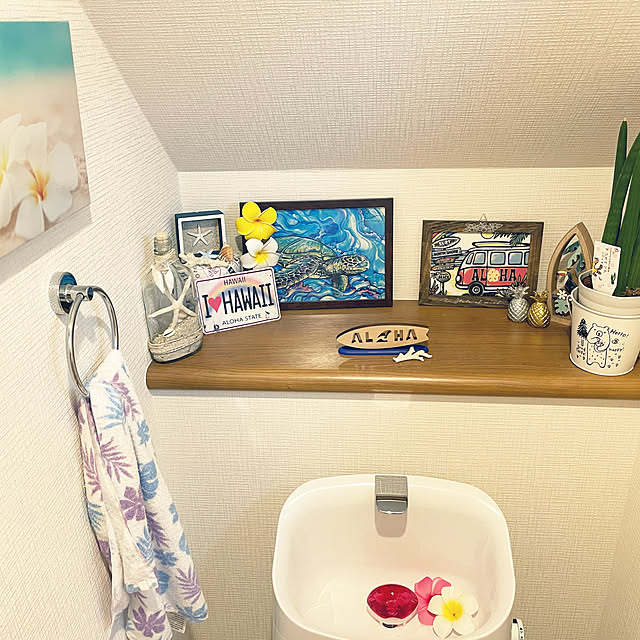 aarisaaさんの実例写真