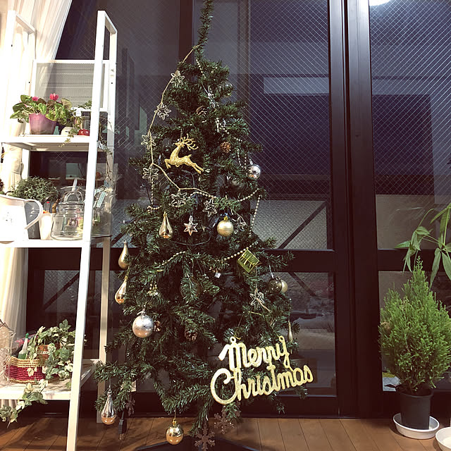 部屋全体/クリスマスツリーのインテリア実例 - 2018-11-07 17:54:52
