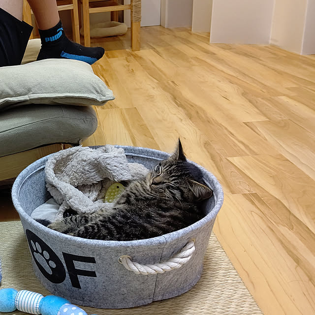 hihaさんの実例写真
