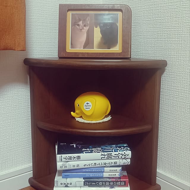 hirukumaさんの実例写真