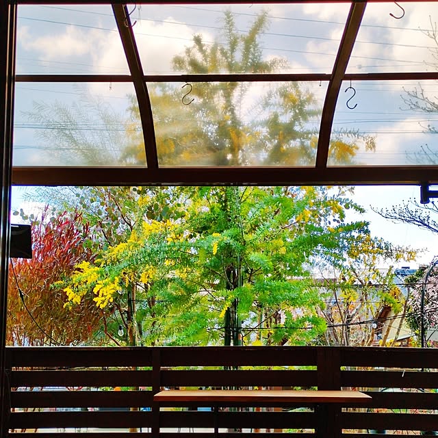 Toraziさんの実例写真