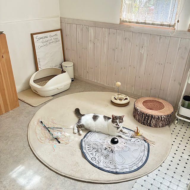 comiriさんの部屋