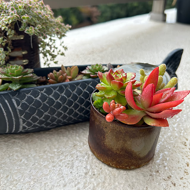 suemonta14さんの部屋