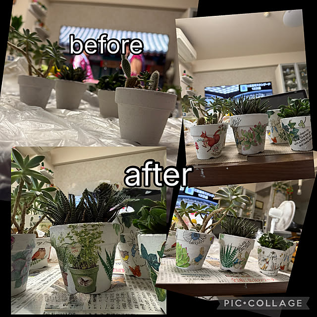 Aqettyさんの部屋