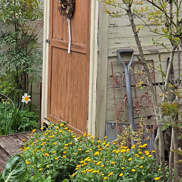 reireiさんの実例写真