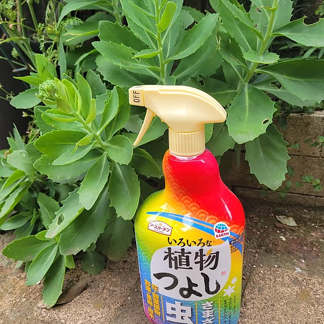 mimi828さんの実例写真