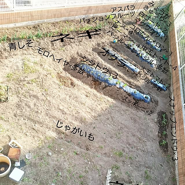 tomomakiさんの実例写真
