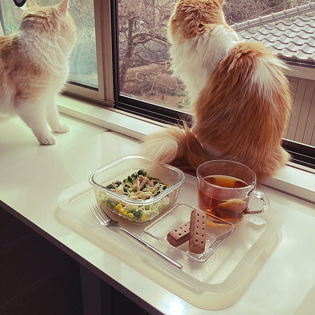 H.Tさんの実例写真