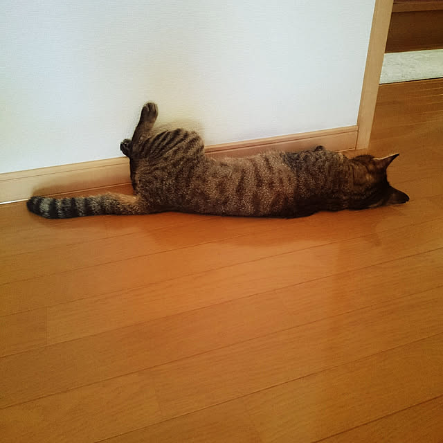 lilyさんの実例写真