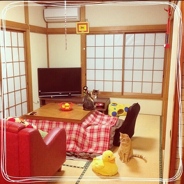 MIYAZOさんの実例写真