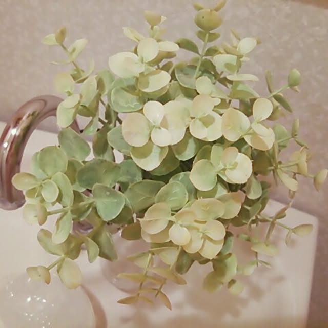 nob0309さんの実例写真