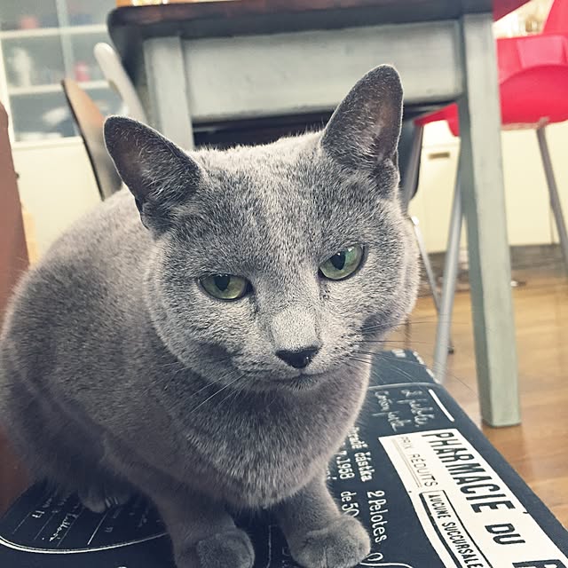 mamekoさんの実例写真