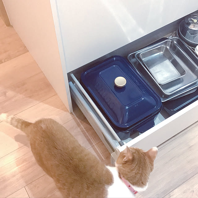 Yさんの実例写真