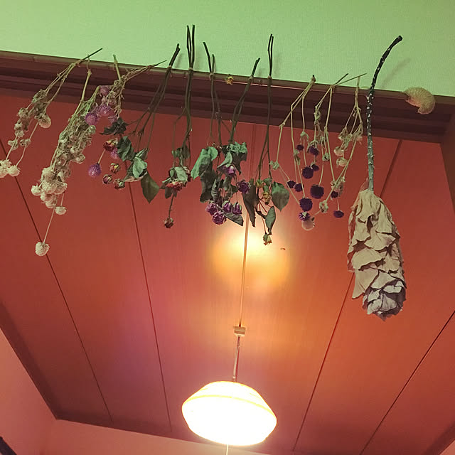 TAAさんの実例写真