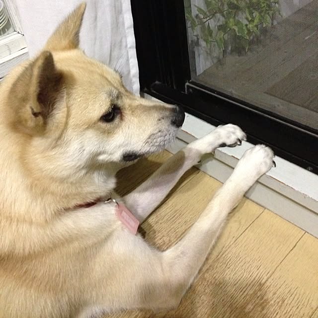leonaさんの実例写真