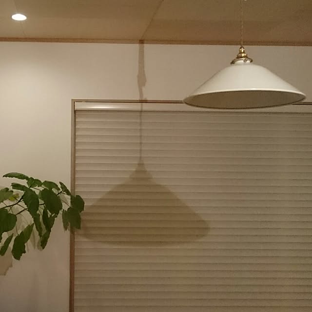 mignonさんの実例写真