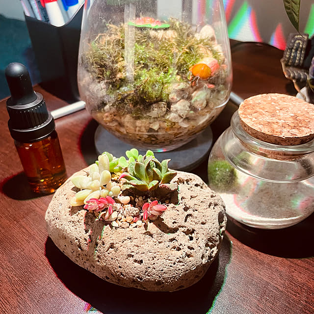 isanaさんの実例写真