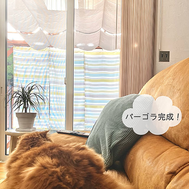 chibinoriさんの実例写真