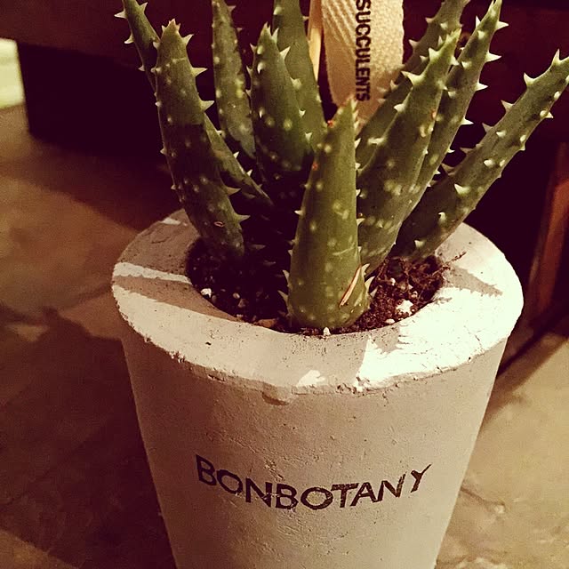 BONBOTANYさんの実例写真