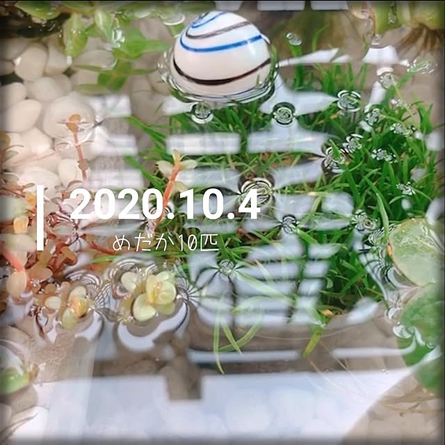 llllakillllさんの実例写真