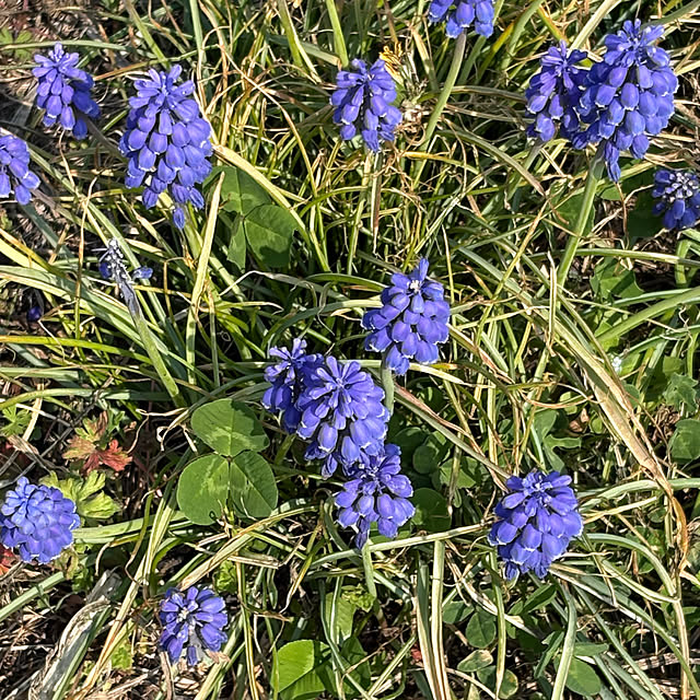 gootarachanさんの部屋