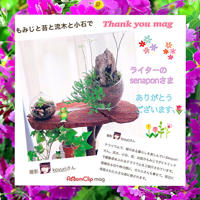 koyuriさんの実例写真
