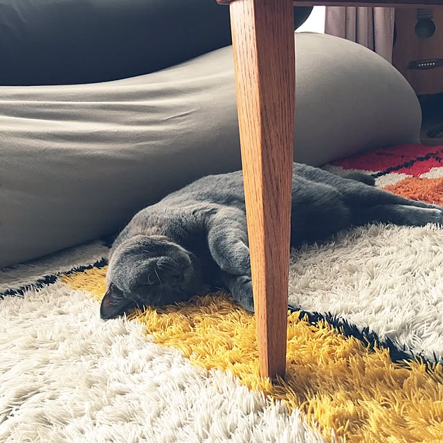 Shojiさんの実例写真