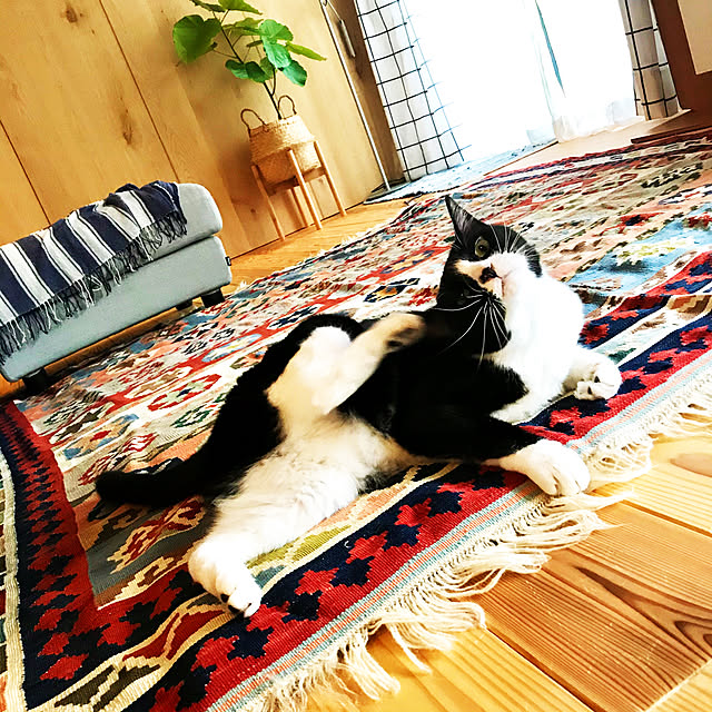 pooさんの実例写真