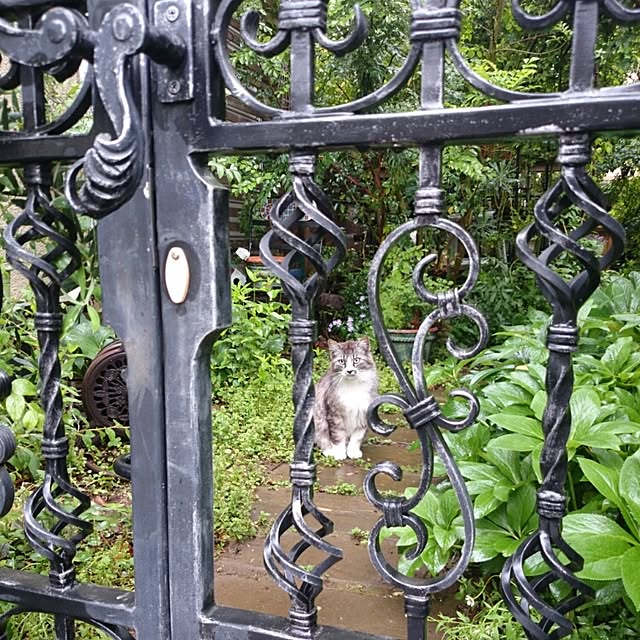 pomponelaさんの実例写真