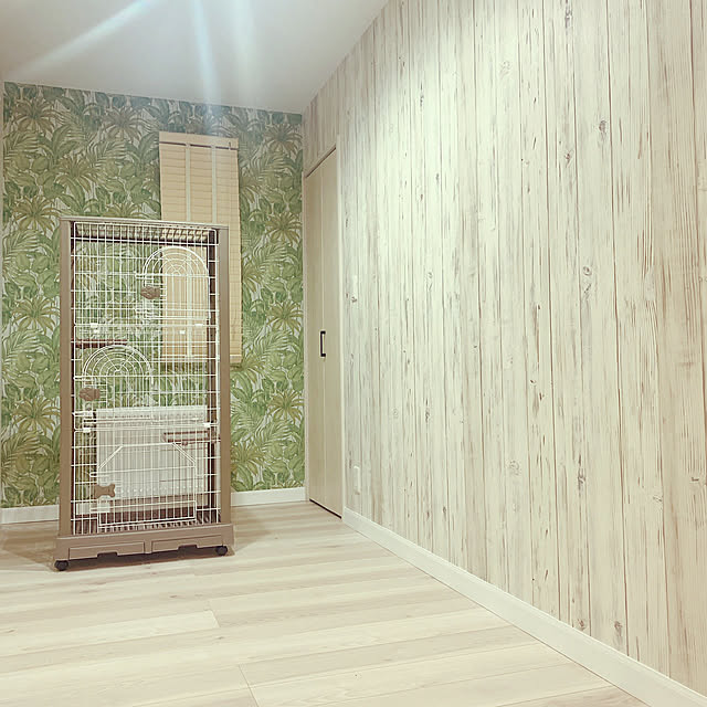 Junさんの実例写真