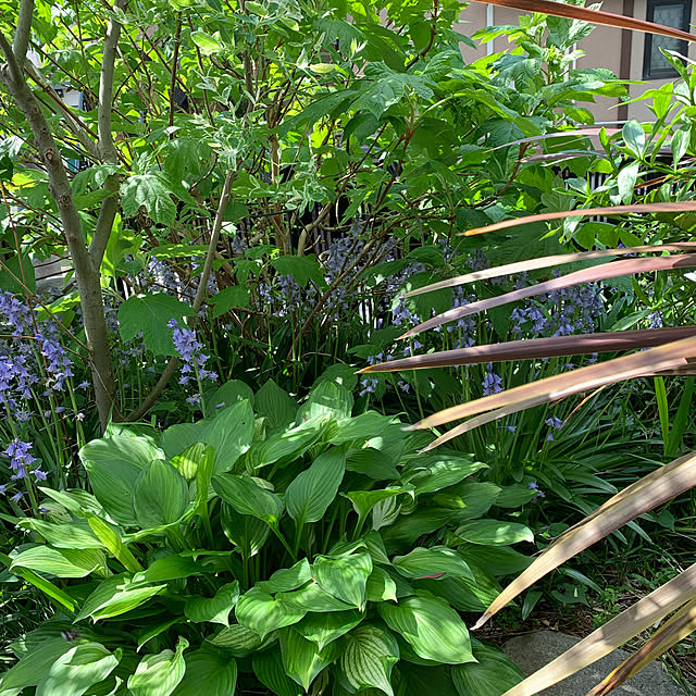 romiromiさんの実例写真