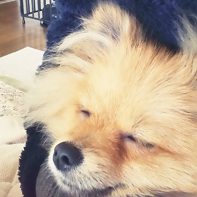 fanuさんの実例写真