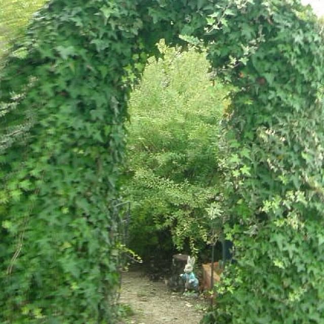Kaoruさんの実例写真
