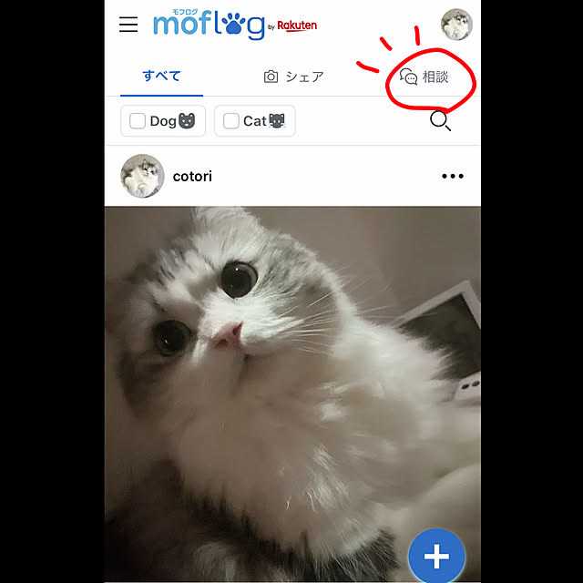 cotoriさんの実例写真