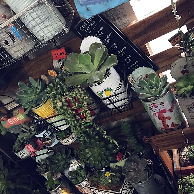 kooohaさんの実例写真