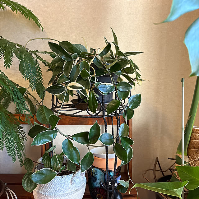 ykさんの実例写真