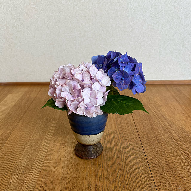 pontaさんの実例写真