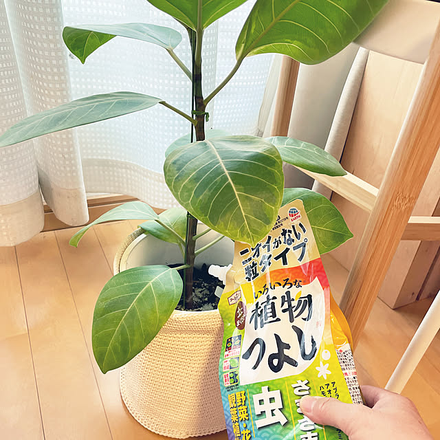 yu-さんの実例写真