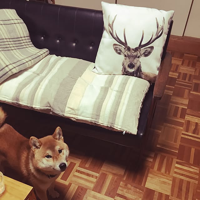 mitubachiさんの実例写真