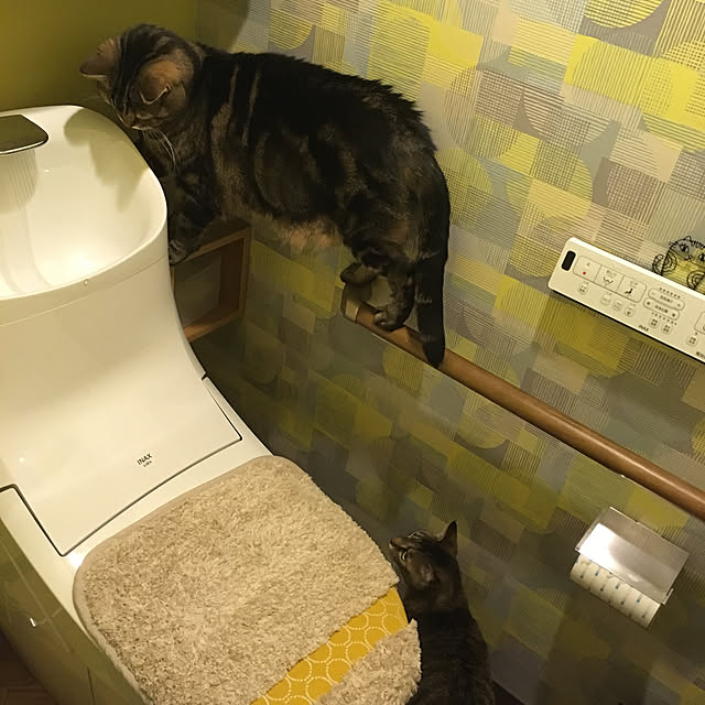 mikomaruさんの実例写真