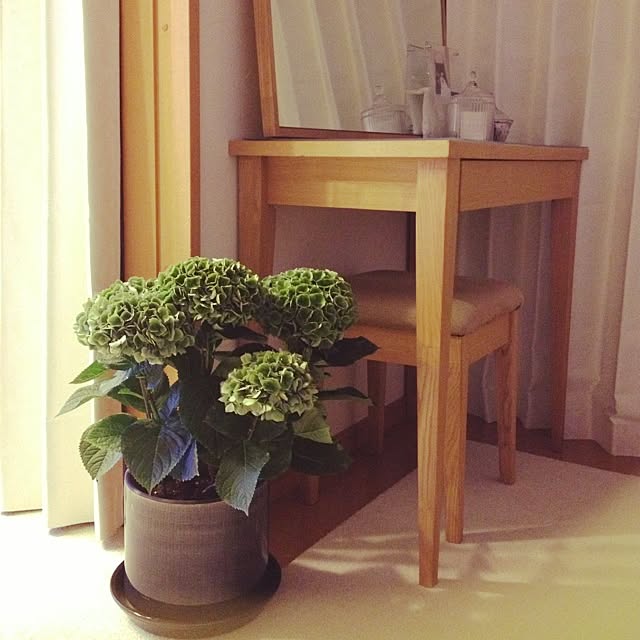 部屋全体/秋あじさい/ひとめ惚れ♡/楽しみ♪のインテリア実例 - 2014-06-15 01:20:37