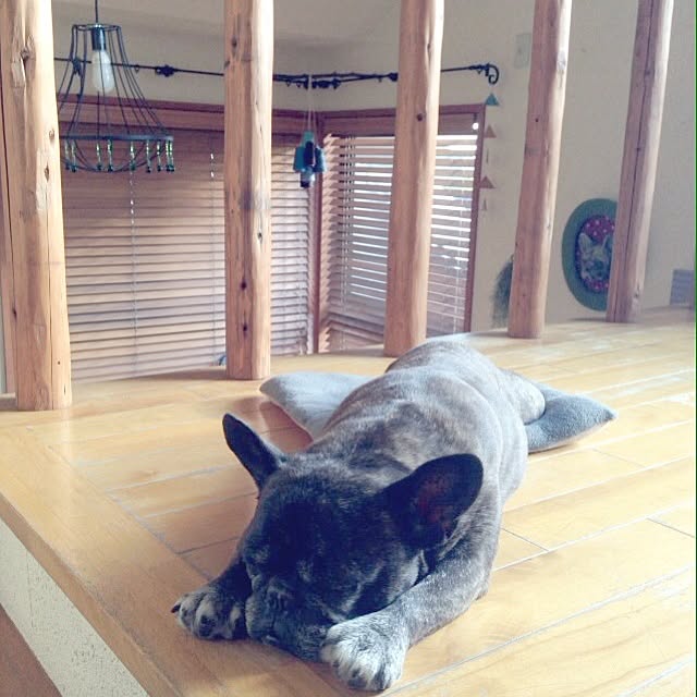 zymaさんの実例写真