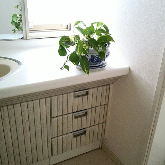 Renさんの実例写真