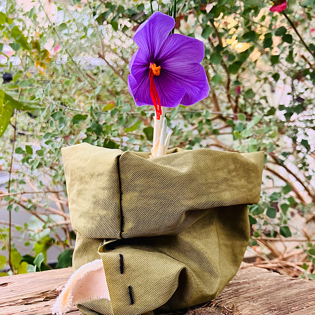 tomorinさんの実例写真